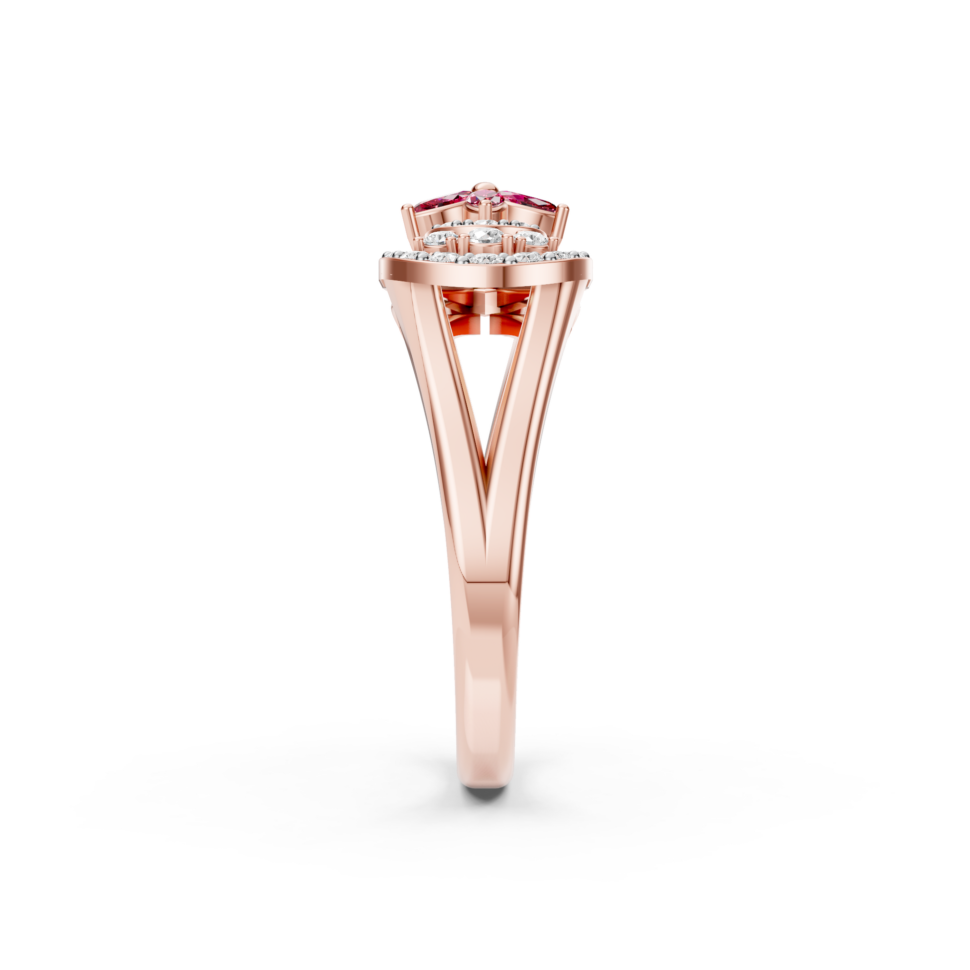 Rose2