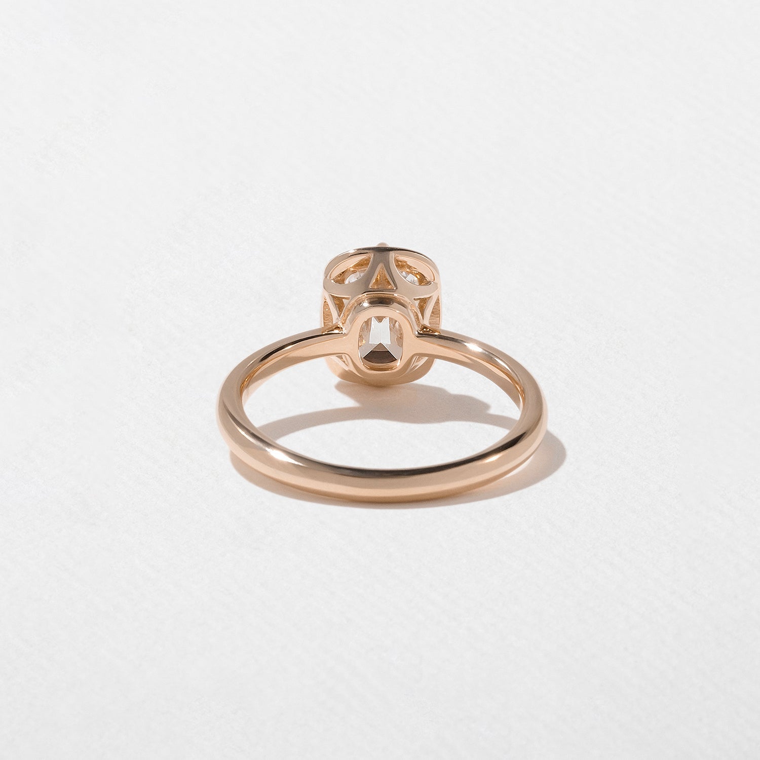 Rose6