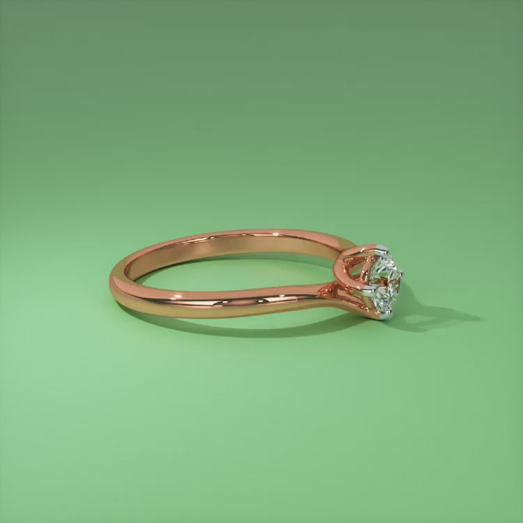 rose8